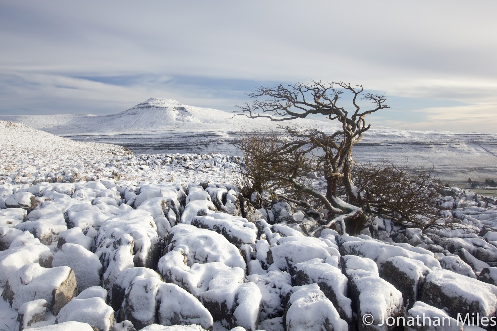 f9bdf-twistleton2b252812bof2b22529