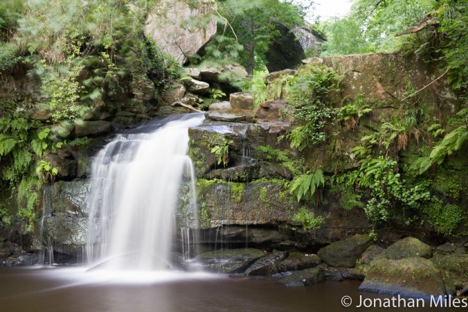 Thormason Force (1 of 1)