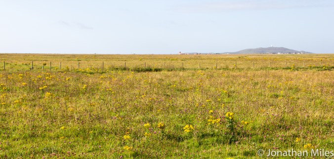 Western Isles (6 of 2)