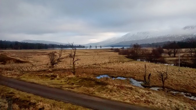 img_20150211_090929457