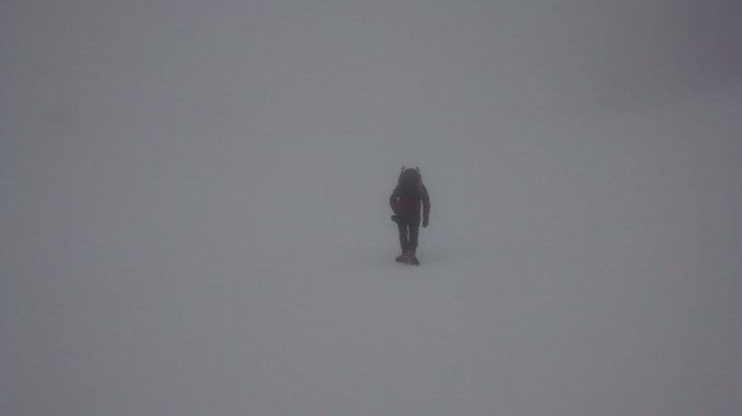 img_20150211_113311148