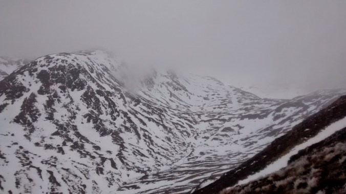 img_20150211_142840295