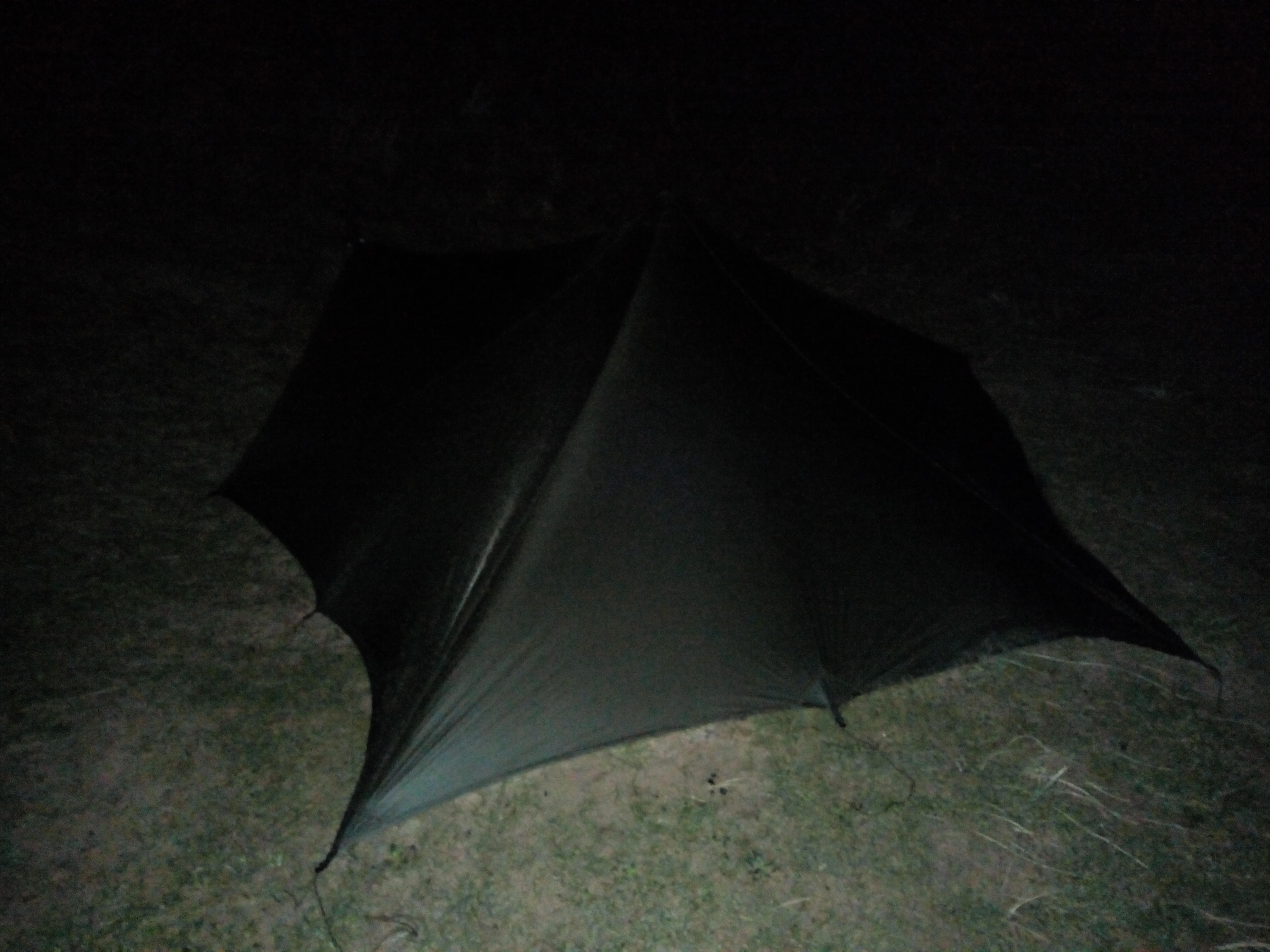 IMG_20190127_062908872